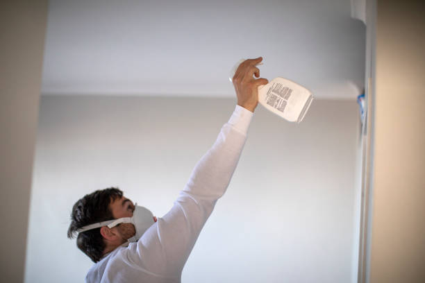 Best Toxic Mold Removal  in Grafton, WV