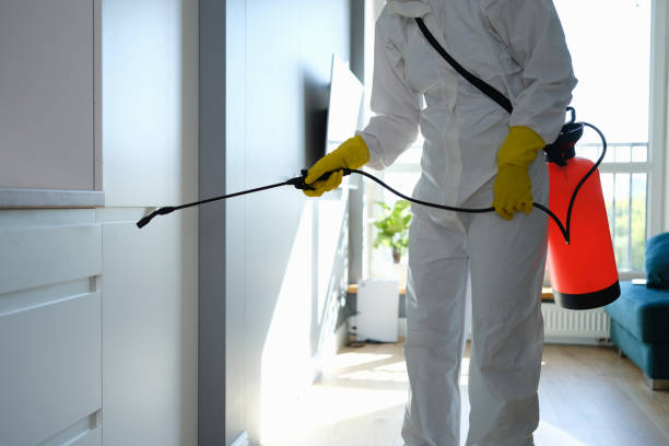 Best Mold Cleaning Services  in Grafton, WV