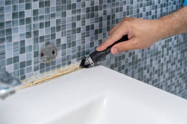 Best Emergency Mold Removal  in Grafton, WV